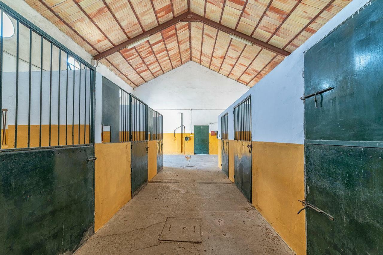 Alterhome Private Villa Cortijo Sierra Y Lago Аркос де ла Фронтера Экстерьер фото